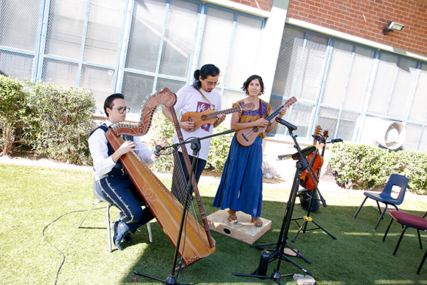 A trio of musicians performs